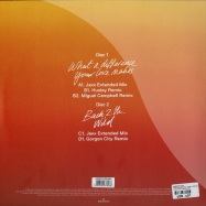 Back View : Basement Jaxx - WHAT A DIFFERENCE / BACK 2 THE WILD (2X12) - 37 Adventures / Adventure008