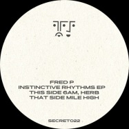 Back View : Fred P - INSTINCTIVE RHYTHMS - Secretsundaze / Secret022