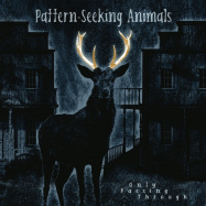 Back View : Pattern-Seeking Animals - ONLY PASSING THROUGH (2LP+CD) - Insideoutmusic / 19439982211
