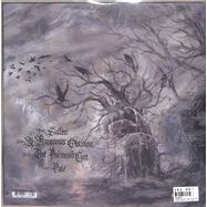 Back View : Austere - CORROSION OF HEARTS (BLACK VINYL) - Prophecy Productions / WOLF128LP