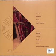 Back View : Borusiade - THE FALL: A SERIES OF DOCUMENTED EXPERIENCES (LP) - Dark Entries / DE326