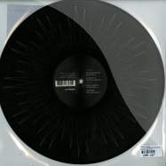 Back View : Various Artists - 10 YRS OF SYSTEMATIC (PICTURE DISC) - Systematic / SYST0101-6
