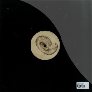 Back View : Roberto - PROLECANITES GURLEYI - Fossil Archive / FAUK001
