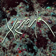 Back View : Xenoula - XENOULA (LP, 180 G VINYL+MP3) - Domino Records / WEIRD058LP