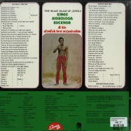 Back View : Kings Aigbologa Bucknor - KATAKATA (LP) - Hot Casa / HC62