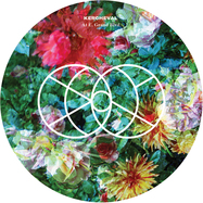 Back View : Raduns - FLORAL ANCESTORS - Akka & BeepBeep / AABB003