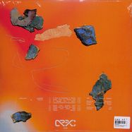 Back View : Reinartz - APPX:LP02 IRRADIATED (LP) - Appendix.files / APPXLP02