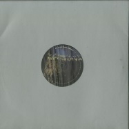 Back View : In Sync - STORM / EVOLUTION II (CLEAR VINYL) - Last Known Trajectory / Trajectory1011
