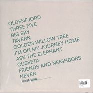 Back View : Sam Amidon - SALT RIVER (LP) - RIVER LEA RECORDINGS / RLRLP27