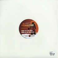 Back View : The Freakazoids - EXPERIMENTS - Thrust025