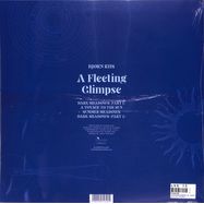 Back View : Bjorn Riis - A FLEETING GLIMPSE (LIM. TRANSPARENT BLUE VINYL) - Plastic Head / KAR 240LPC