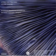 Back View : Various Artists - BCS009 (BLUE MARBLED VINYL) - Binary Cells / BCS009