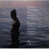 Back View : Siegfried Hart - AWA (LP) - Wicked Wax / WW152