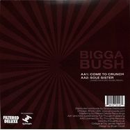 Back View : James Hayford & Biggabush - SPLIT EP - Filtered Deluxe / FDRV01
