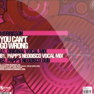 Back View : Morrisson - YOU CANT GO WRONG - Swank / SNK055