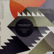 Back View : Downliners Sekt - WE MAKE HITS NOT THE PUBLIC - Disboot Records  / dboot012