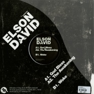 Back View : Elson David - THE AWAKENING EP - Shades Of Grey / shades008