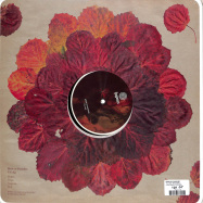 Back View : Birds ov Paradise - TILL DIG (180G VINYL) - Hypnus Records / HYPNUS024