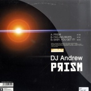 Back View : DJ Andrew - PRISM - Temprogressive / TP9304MX