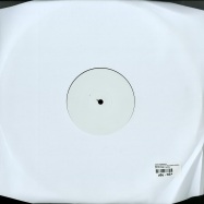 Back View : Dany Rodriguez - SAFARI MOON EP (THE ADVENT REMIX) - RMR Recordings / RMR004
