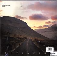 Back View : Thylacine - ROADS, VOL 2 (LP, REPRESS) - Intuitive Records / INT01AN201