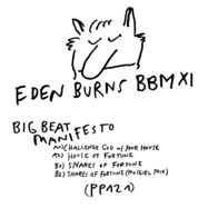 Back View : Eden Burns - BIG BEAT MANIFESTO VOL XI - Public Possession / PP121