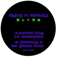 Back View : Dying In Beauty - HELLPHASER EP - Rhythm Without Reason / RWR005