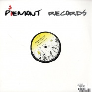 Back View : Plusminusklang - LITTLE LESS MORE - Piemont Records / ptrec004