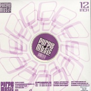 Back View : Born To Funk & Justin Michael - CHANGE IS ON THE WAY - Purple Music / pm067