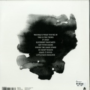 Back View : Fink - DISTANCE & TIME (LP) - Ninja Tune / ZEN136