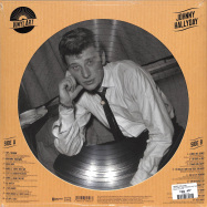Back View : Johnny Hallyday - VINYLART - THE PREMIUM PICTURE DISC COLLECTION (PIC LP) - Wagram / 05195151