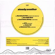 Back View : Steady Weather - STEADY WEATHER EP - Darker Than Wax / 05236231