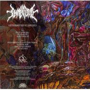Back View : Slimelord - CHYTRIDIOMYCOSIS RELINQUISHED (ORANGE / BLUE GALAXY) (LP) - 20 Buck Spin / SPIN 177LPC