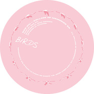 Back View : Dan Piu - COLLAGE OF MEMORIES EP - Birds / BIRD003