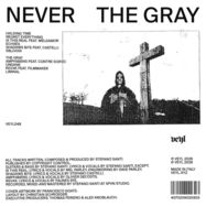 Back View : Never - THE GRAY (BLACK VINYL+LYRIC SHEET) - Veyl / VEYL048