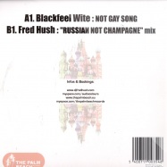 Back View : Blackfeet White / Fred Hush - NOT GAY SONG / RUSSIAN NOT CHAMPAGNE - Palm Beach / PB0176