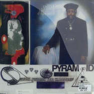Back View : Evans Pyramid - WHERE LOVE LIVES - Peoples Potential Music / PPU060