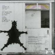 Back View : Stephen Malkmus & The Jicks - REAL EMOTIONAL TRASH (180G 2LP + MP3) - Domino Records / WIGLP215