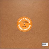Back View : Nazamba / Dubsetters - MONEY - Dub & Sound International / DSI 001