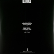 Back View : American Nightmare - AMERICAN NIGHTMARE (LP) - BMG Rights Mgmt GmbH / 405053835361