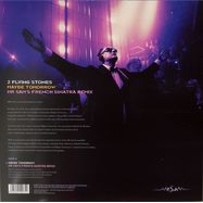 Back View : 2 Flying Stones - MAYBE TOMORROW (MR SAMS FRENCH SINATRA REMIX)(ONE SIDED VINYL) - 2 FLYING STONES / 2FS252