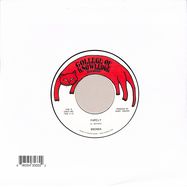 Back View : Brenda - WHERE DID I GO WRONG? B/W FAMILY (7 INCH) - College Of Knowledge Records / COK45001
