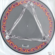 Back View : A Mountain Of One - BONES/ HOUSE OF HOUSE RMX (MAP OF AFRICA) PIC DISC - Ammo006t