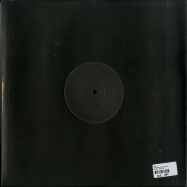 Back View : Fink - HORIZONTALISM (LP + MP3) - R Coup D / RCPD006