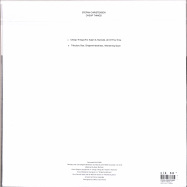 Back View : Stefan Christensen - CHEAP THINGS (LP) - World Of Echo / WOE003