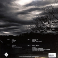Back View : Wires & Lights - A CHASM HERE AND NOW (2LP) - Wave Tension Records / W10.08