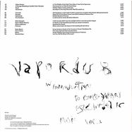 Back View : Various Artists - VAPORDUB: AN INTRODUCTION TO CONTEMPORARY PSYCHEDELIC MUSIC VOL. 1 (2LP) - Bamboo Shows / BST003