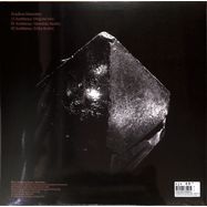 Back View : Headless Horseman - SEMBLANCE/ MONOLAKE / ERIKA REMIXES - System Revival Recordings Minor Setbac / SRR:MS01