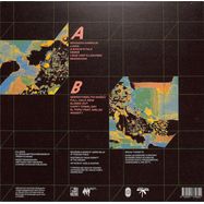 Back View : Takeshis Cashew - ENTER JS CHAMBER (LP) - Laut & Luise / EULLE002
