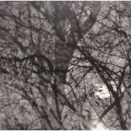 Back View : Grouper - WAY THEIR CREPT (LP) - Kranky / KRANK248LP